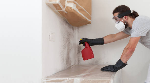 Professional Bathroom Mold Removal technician working in Lumberton, NJ
